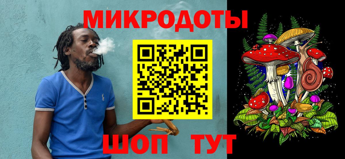 Галлюциногенные грибы Psilocybine cubensis Азнакаево