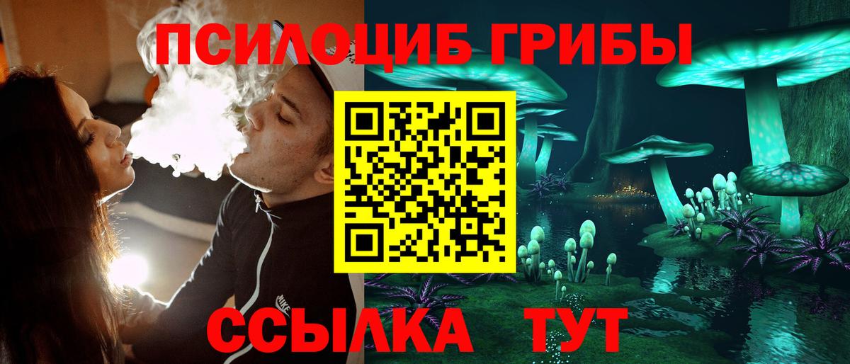 Псилоцибиновые грибы Magic Shrooms  Вход с VPN  Азнакаево  Псилоцибиновые грибы мицелий 